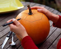 Halloween pumpkin (1/7). Cucurbita (pumpkin) - draw on lid