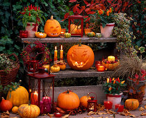 Halloween pumpkin (7/7). Cucurbita (pumpkin), Capsicum (ornamental pepper), Hedera (ivy).
