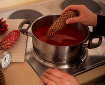 Red wax: Step (1/1). Dip Picea (spruce cones) in melted red wax.