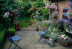 Terrasse mit Ton-in-Ton-Bepflanzung und blauen Stühlen, Buxus (Buchs), Petunia (Petunien), Verbena (Eisenkraut), Viola (Stiefmütterchen), Clematis (Waldrebe), kleiner Teich mit Terracotta-Figur