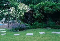 Small terrace with wooden gazebo, Rosa 'Lykkefund' (rambler rose, climbing rose) - single flowering with good fragrance, Nepeta (catmint), Buxus (boxwood) - balls and hedge, Fraxinus (ash) - trunk, slabs as stepping stones in the lawn