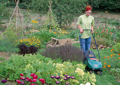 Woman mowing lawn path between beds