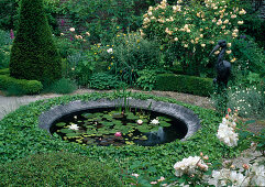 Small walled pond with water lily (Nyphaea), surrounded by ivy (Hedera helix) and bronze crane, rose 'Buff Beauty' in the background