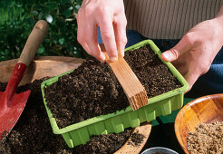 Vegetable sowing Wipe off excess soil with wood (2/8)
