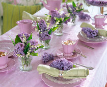 Syringa (Lilac)