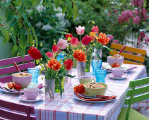 Frühstückstisch mit Tulipa (versch. Tulpen)