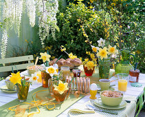 Breakfast table with narcissus (daffodils)