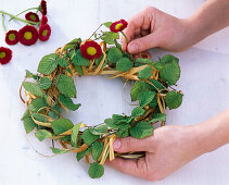 Bellis and hornbeam wreath