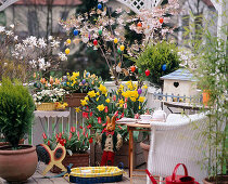 Osterbalkon mit Prunus