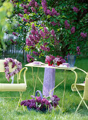 Small coffee table next to syringa (lilac bush, lilac)