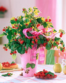 Rubus (raspberry) in pink vase