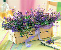 Spank basket with Lavandula (lavender), Origanum (Oregano)