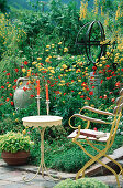 Trollius europaeus 'Lemon Yellow', Aquilegia, Laburnum, Geum