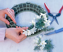 Wreath of juniper and tazettes (2/3)