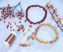 Wreath made of rose hips and holly berries (1/2)