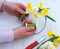 Mixed daffodils