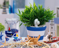 Decorating planters in blue and white: 3/3