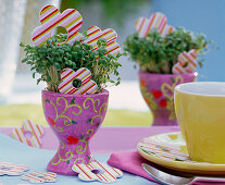 Cress sowing in lilac eggcup