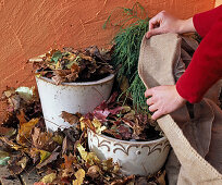 Put tulips and daffodils in bucket in autumn