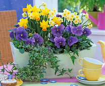 Pastel green wooden box plant with narcissus and viola