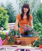 Plant orange metal box with geraniums and magic bells