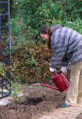 Container Rose Planting (11/14)