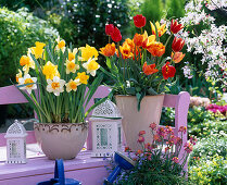 Putting tulips and daffodils in pots (3/3)
