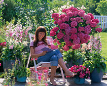 Semi-shade terrace with hydrangea and foxglove