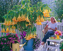 Woman on balcony with flowering yellow datura (angel's trumpet)