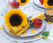 Napkin decoration with Helianthus (sunflower)