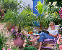 Palm terrace with wooden deck chair, woman reading a book