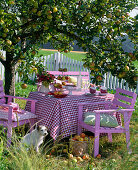 Pink sitting group under Malus (apple tree)