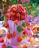 Physalis-Kugel auf rosa Vase (5/5)