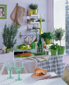 Kitchen with herbs, Rosmarinus (rosemary), Melissa (lemon balm)