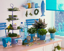Maritime kitchen in blue and white with herbs