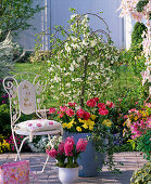 Malus 'Red Jade' (hanging ornamental apple) underplanted with Tulipa