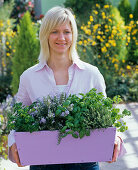 Planting a wooden box with herbs (2/2)