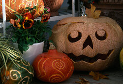 Halloween: hollowed out decorative pumpkins with carved patterns