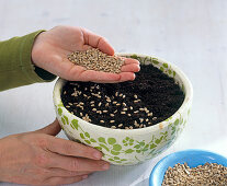 Bowl with wheatgrass and easter eggs