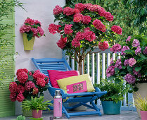 Shadow balcony with hydrangea