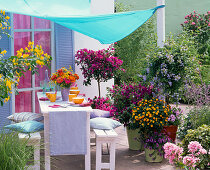 Container plant terrace with awning