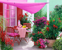 Pink-red terrace with awning
