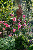 Rosa 'Leonardo da Vinci' (nostalgic rose), repeat flowering