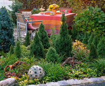 Bed with Picea glauca 'Conica' (sugar loaf spruce), grasses