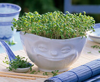 Cress in pot with face