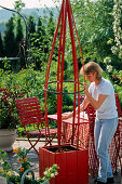 Planting a red tub with Thunbergia (3/10)