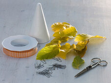 Cone with autumn leaves from Parrotie (1/4)