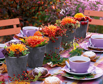 Dahlia (Dahlien), Origanum (Oregano), Nepeta (Katzenminze), Hagebutten