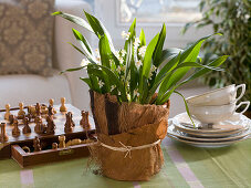 Planter with coconut fiber and banana leaves