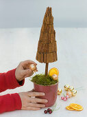 Small trees decorated with cinnamon sticks and Christmas tree decorations (5/6)
